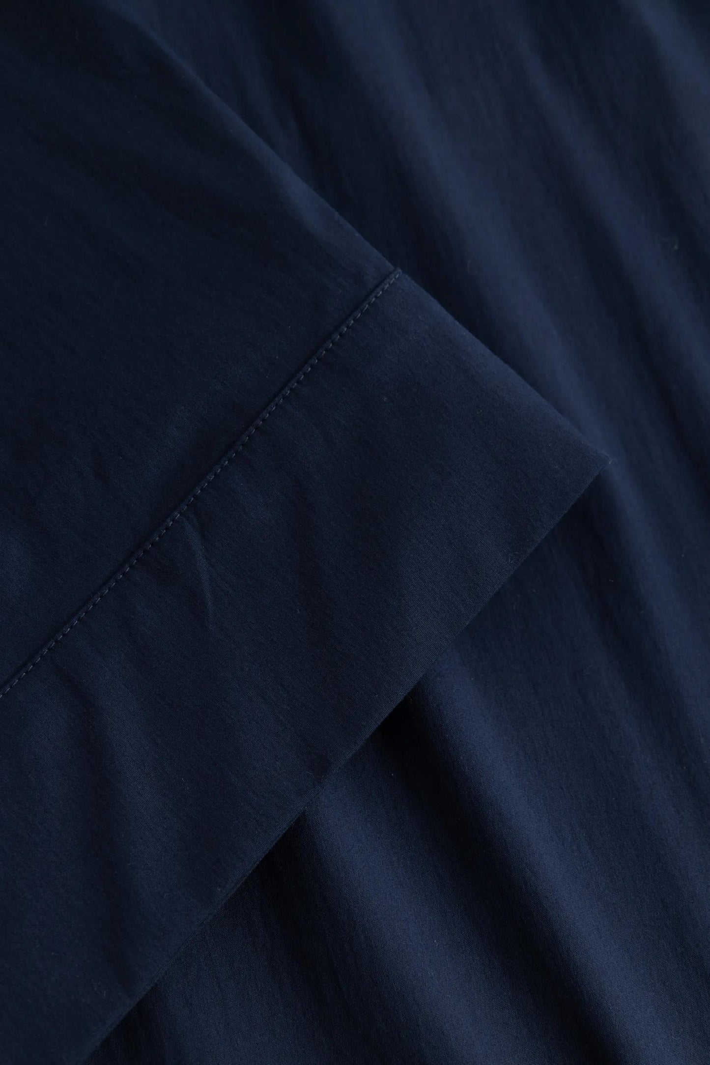 262P58Paloma2 10018868