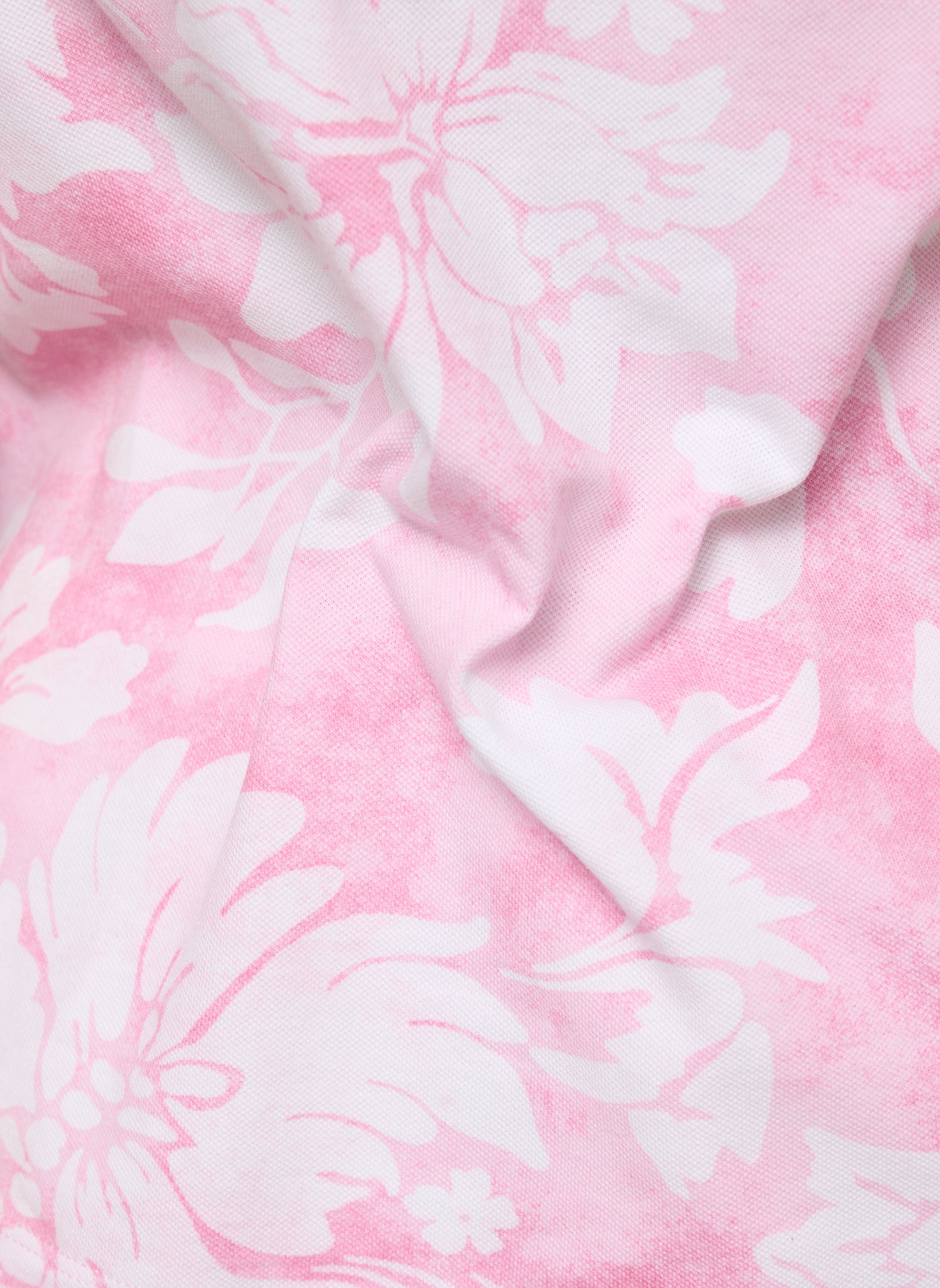 Powder Rose