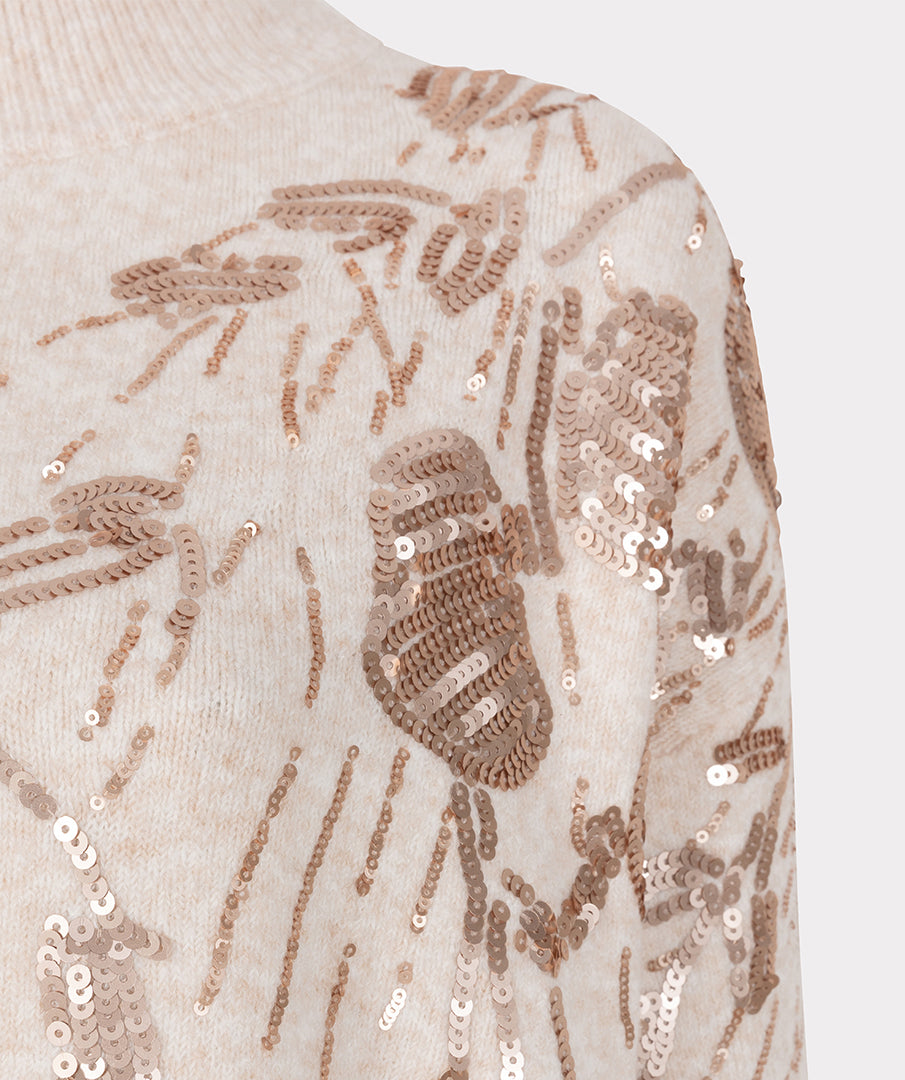 Sweater sequins
