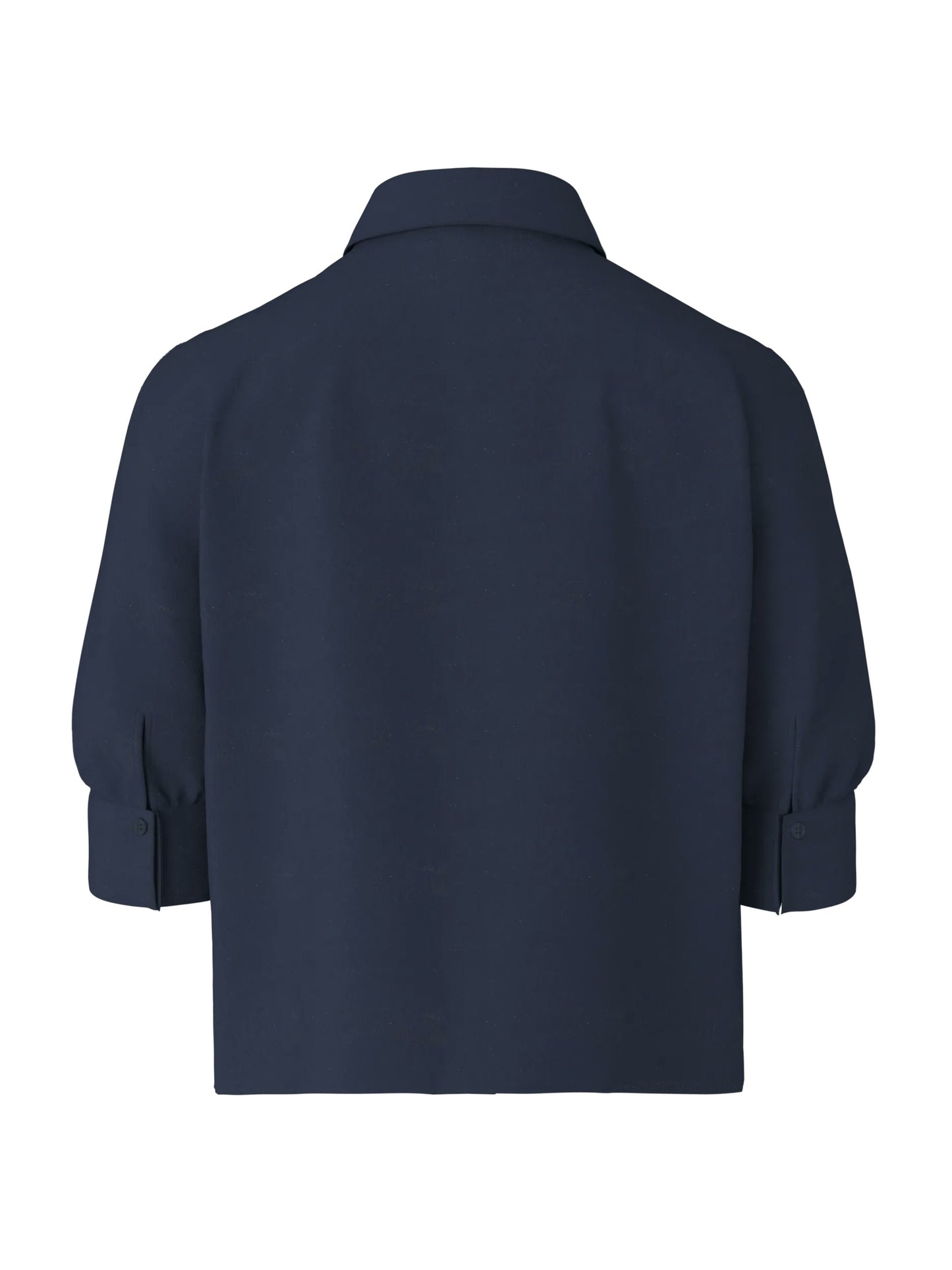 262B58Begonia 10018868