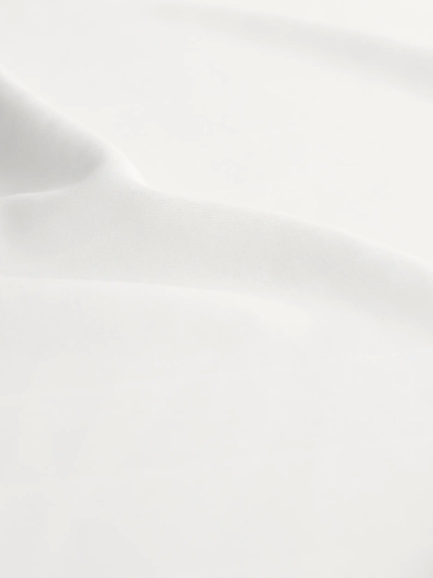 262S58Sagira 10019402