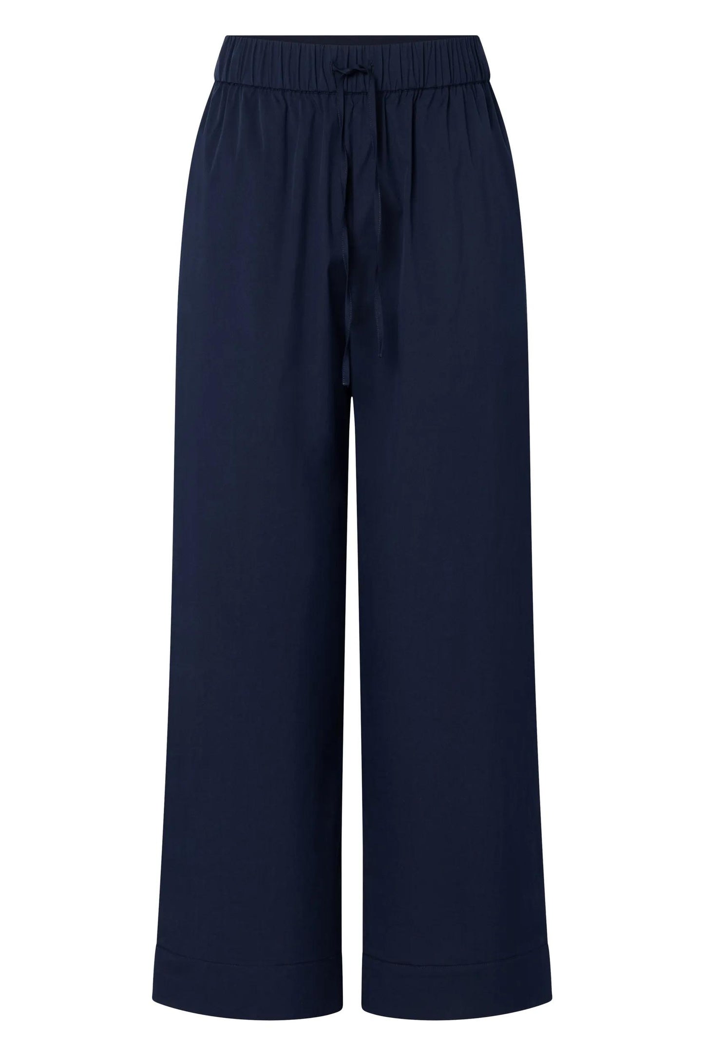 262P58Paloma2 10018868