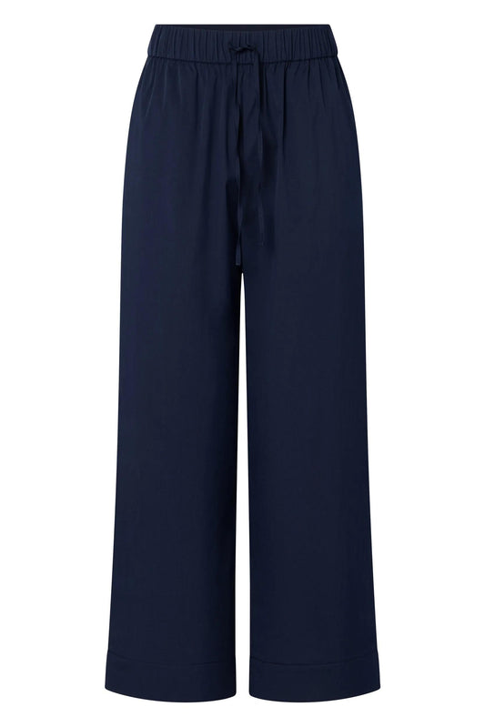 262P58Paloma2 10018868