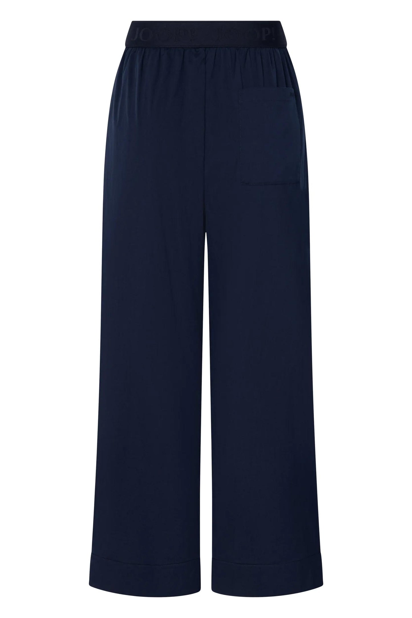 262P58Paloma2 10018868