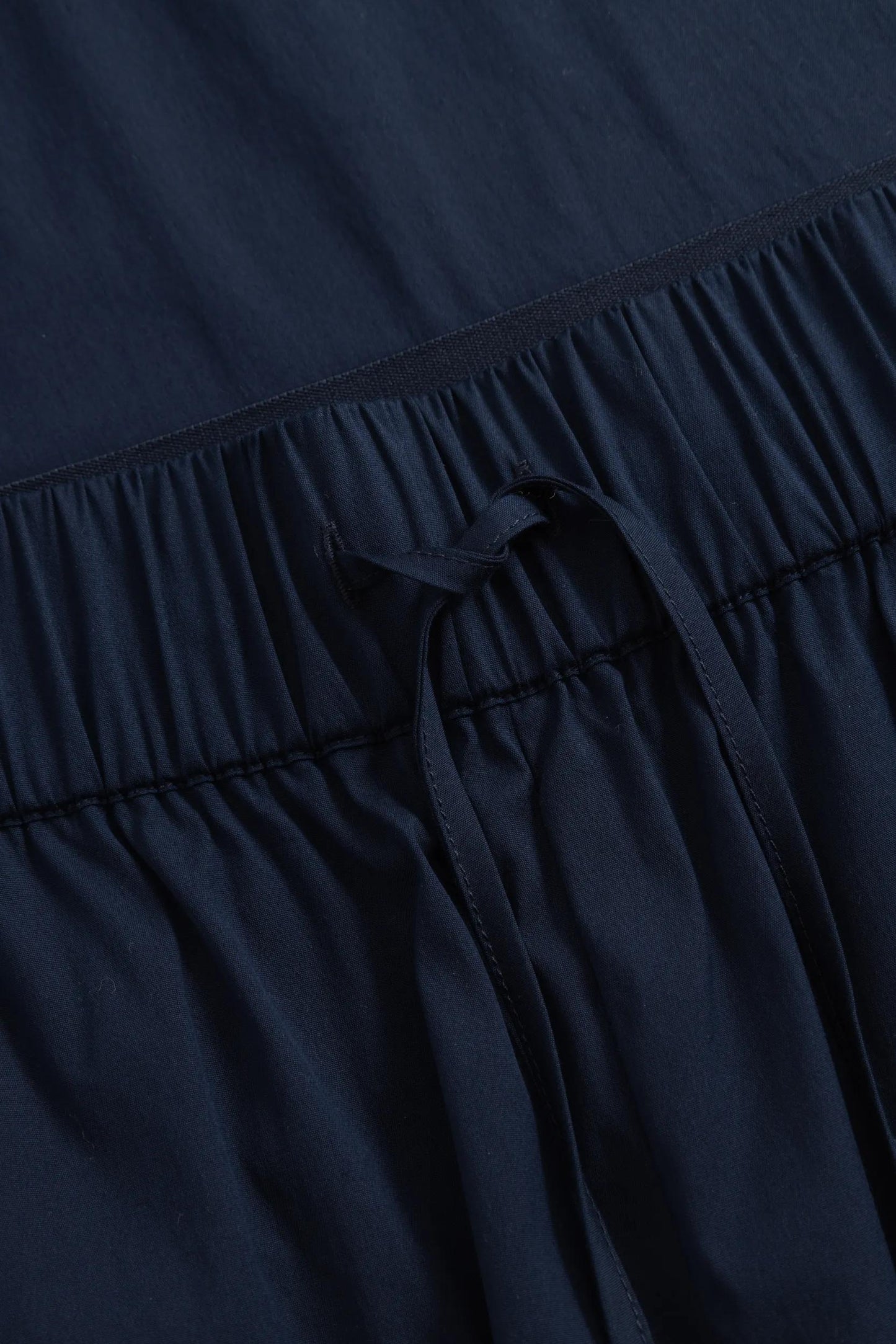 262P58Paloma2 10018868