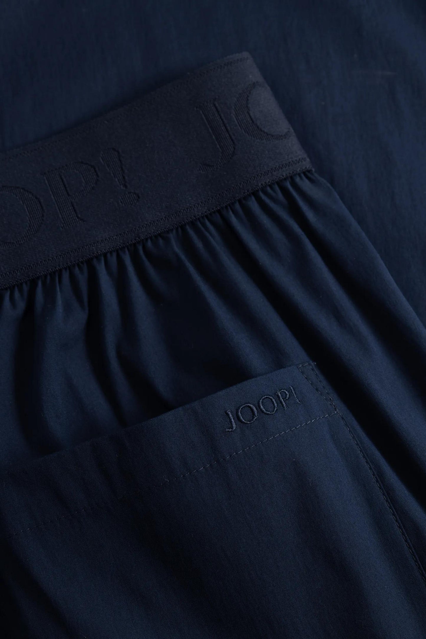 262P58Paloma2 10018868