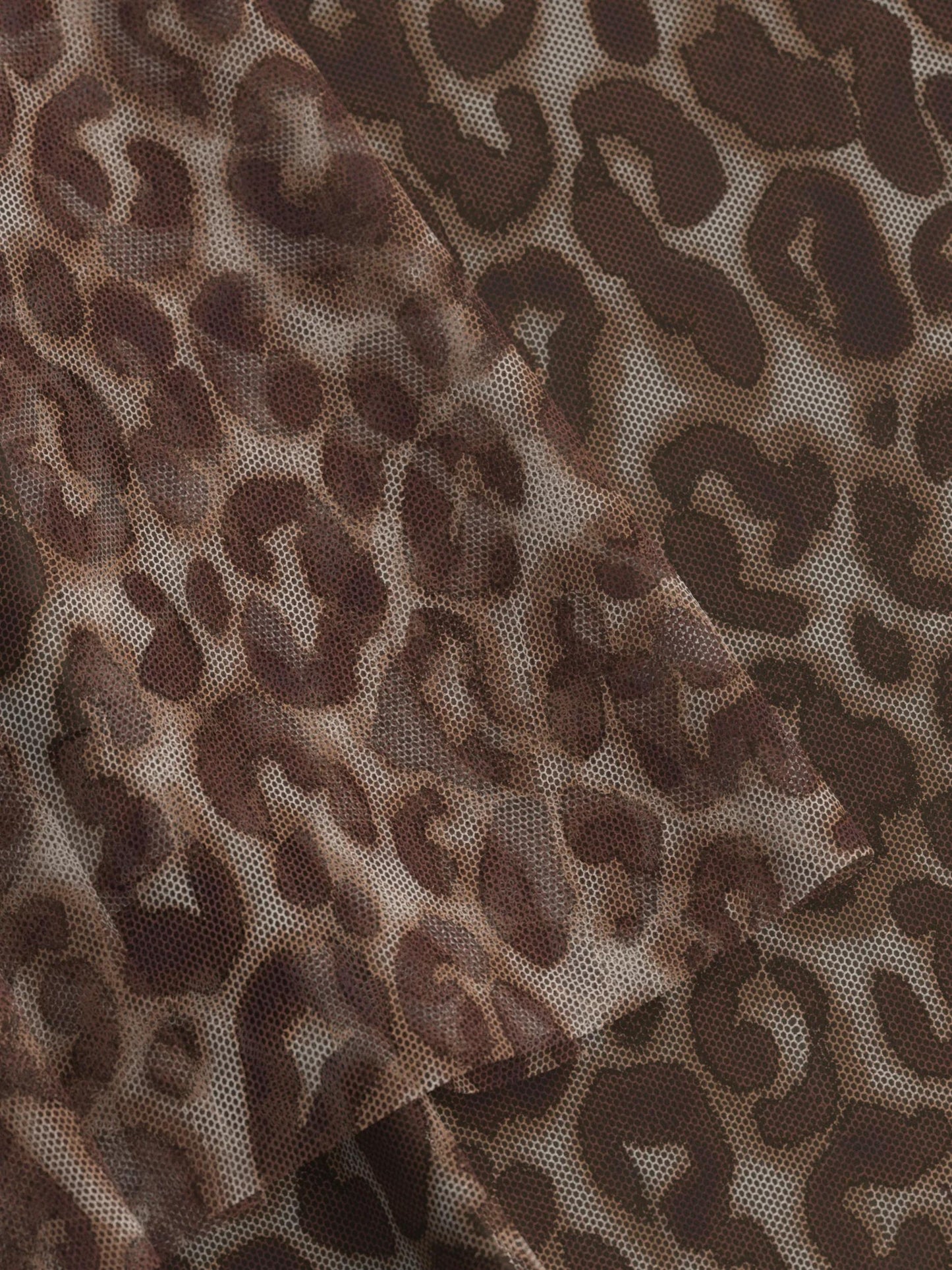 254S58Fridi2 10014478