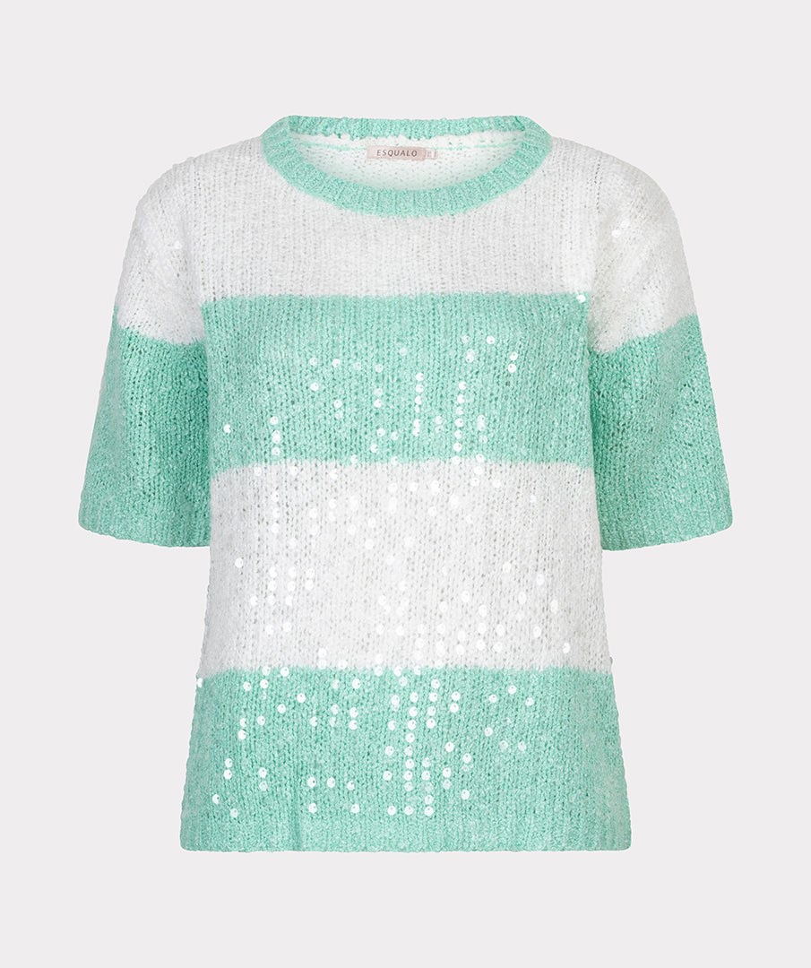 Sweater striped sequins