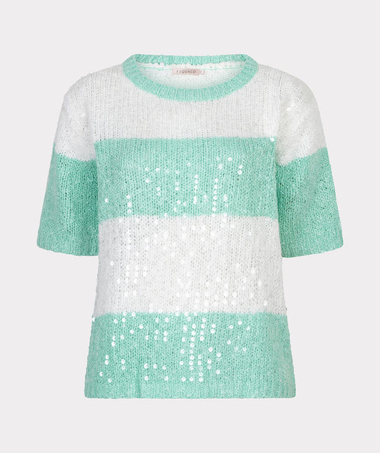 Sweater striped sequins