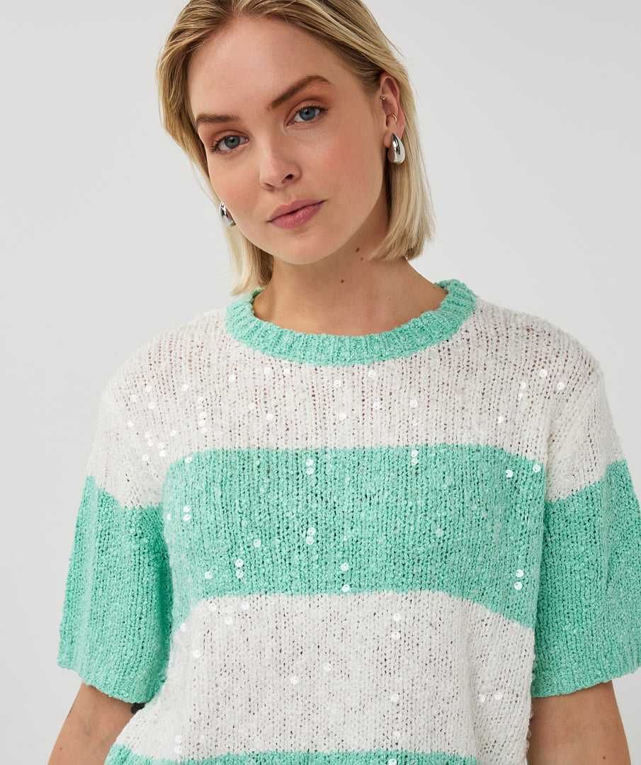 Sweater striped sequins
