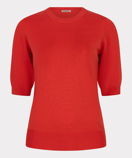 Sweater s/slve r/neck basic knit