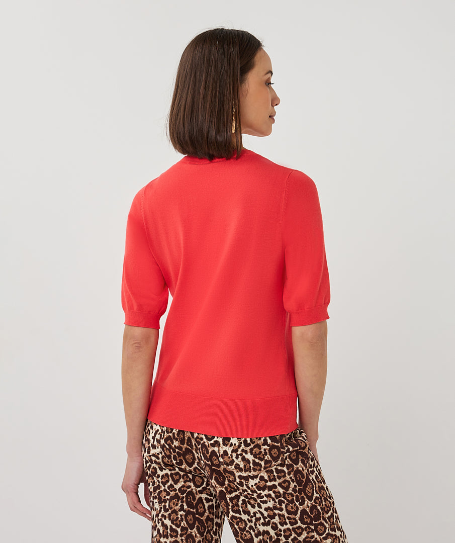 Sweater s/slve r/neck basic knit